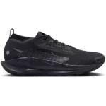 کتونی تریل رانینگ نایک PEGASUS TRAIL 5 GTX | ان پی استایل